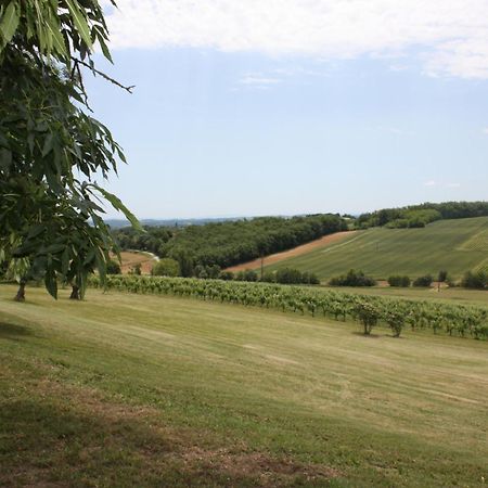 Domaine De Perches Bed & Breakfast Gaillac Luaran gambar
