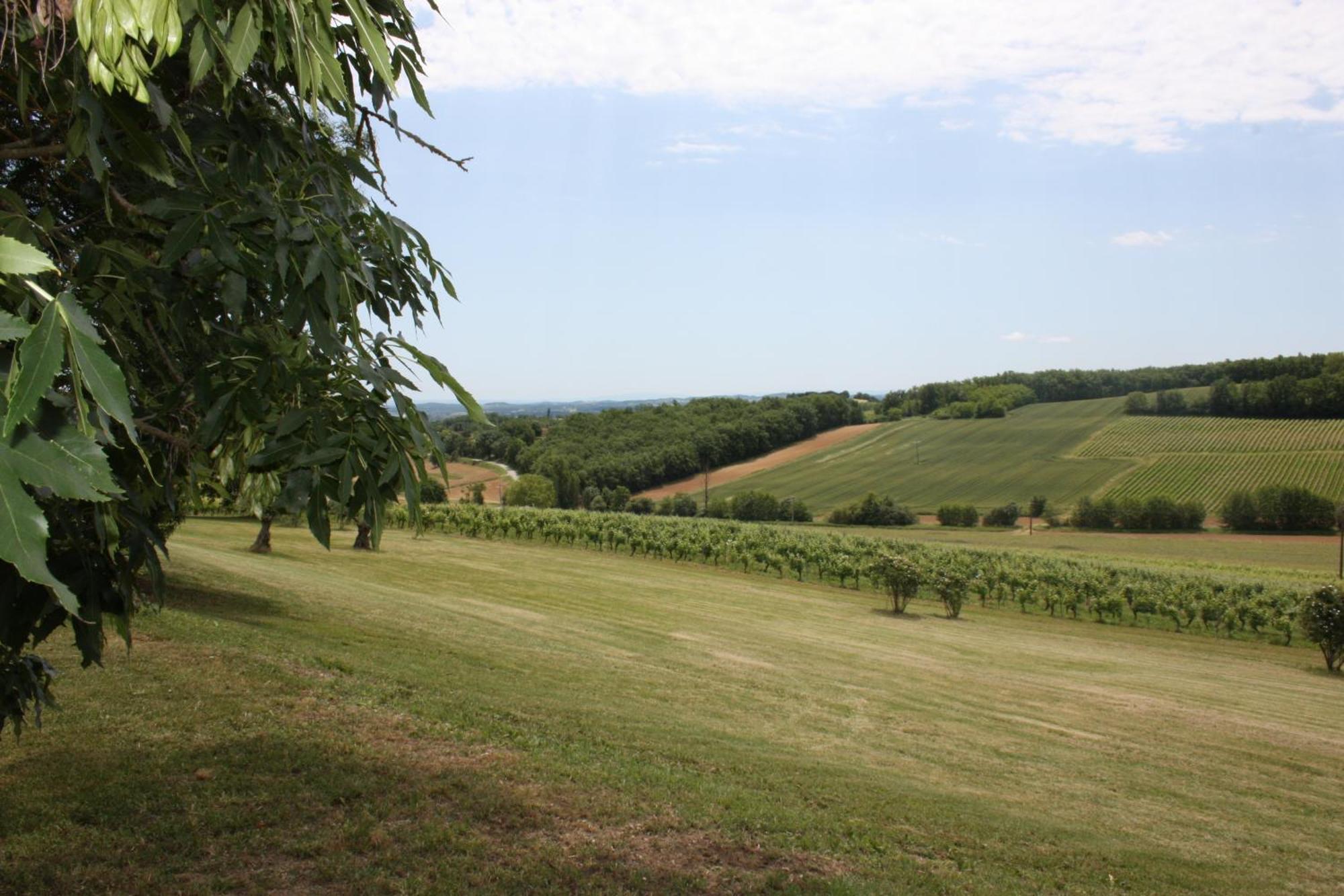 Domaine De Perches Bed & Breakfast Gaillac Luaran gambar